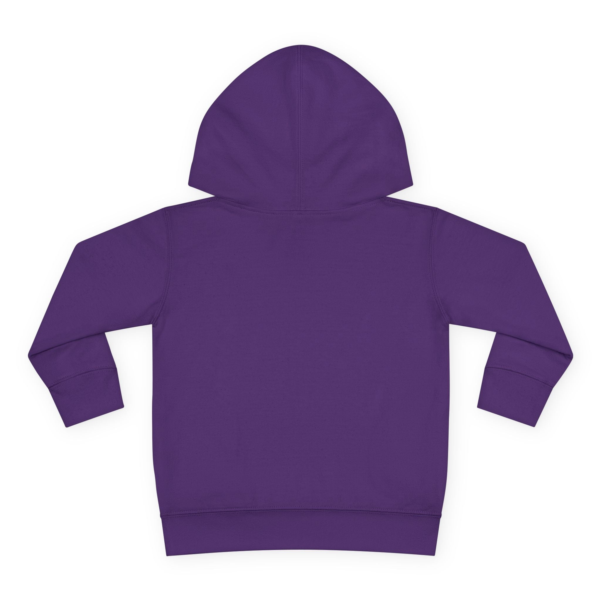 PHENOM - Toddler Hoodie - Phenom Apparel Co.