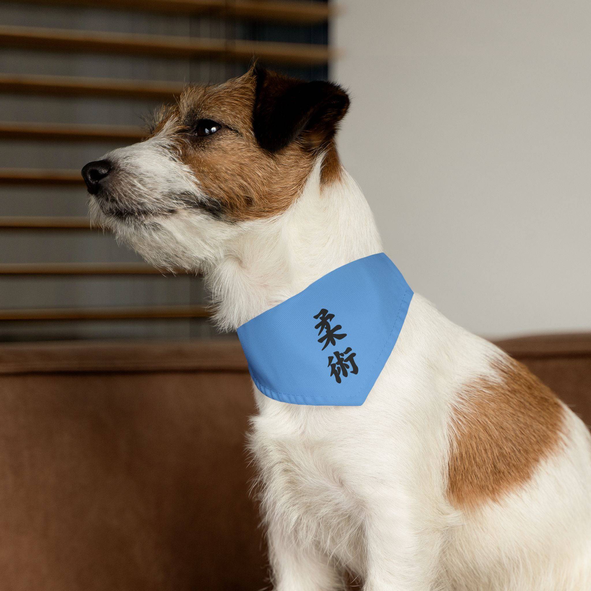 PHENOM - Kanji Pet Bandana Collar