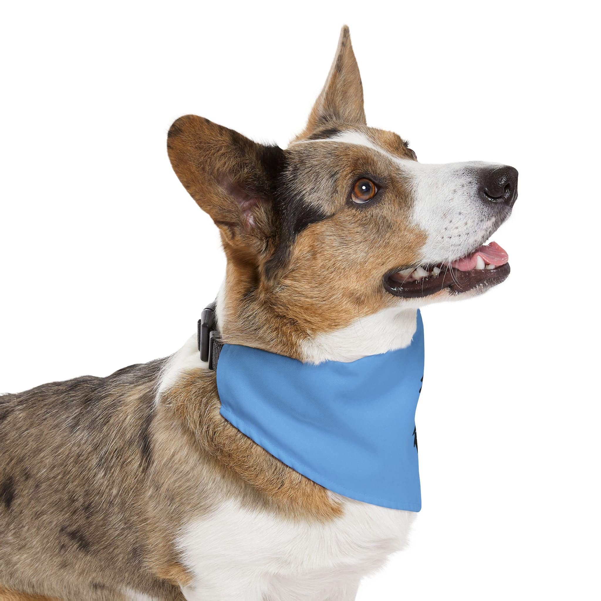 PHENOM - Kanji Pet Bandana Collar