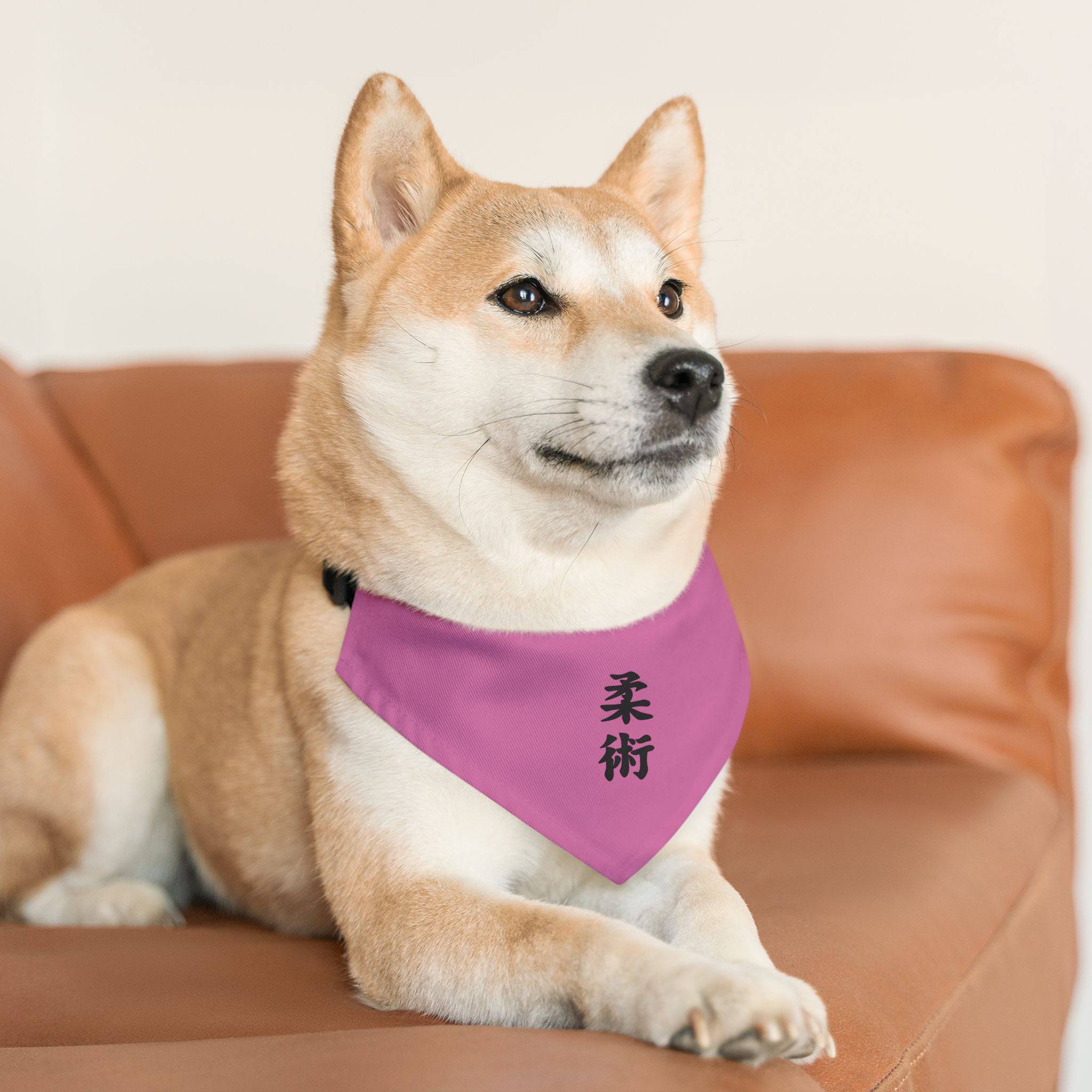 PHENOM - Kanji Pet Bandana Collar