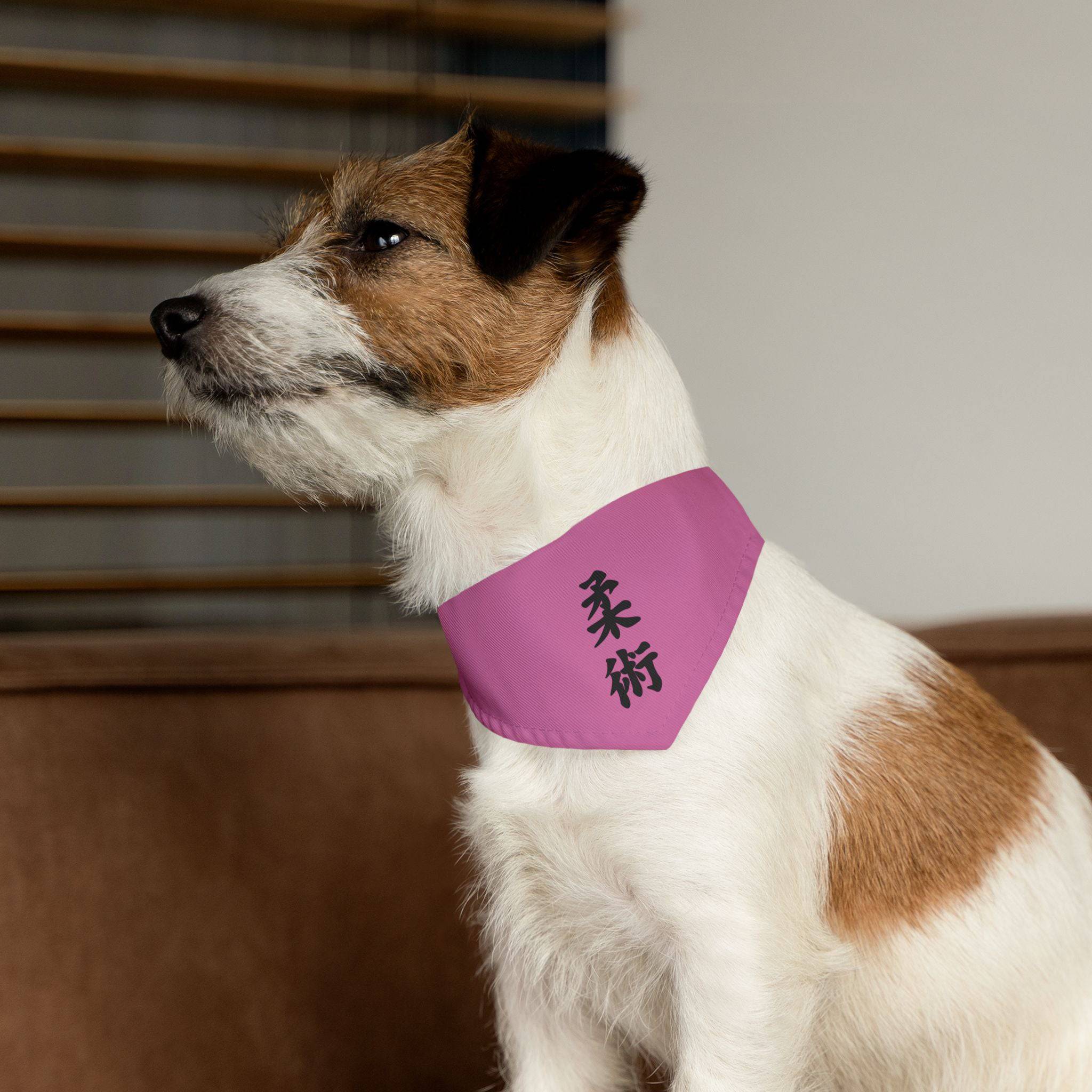 PHENOM - Kanji Pet Bandana Collar