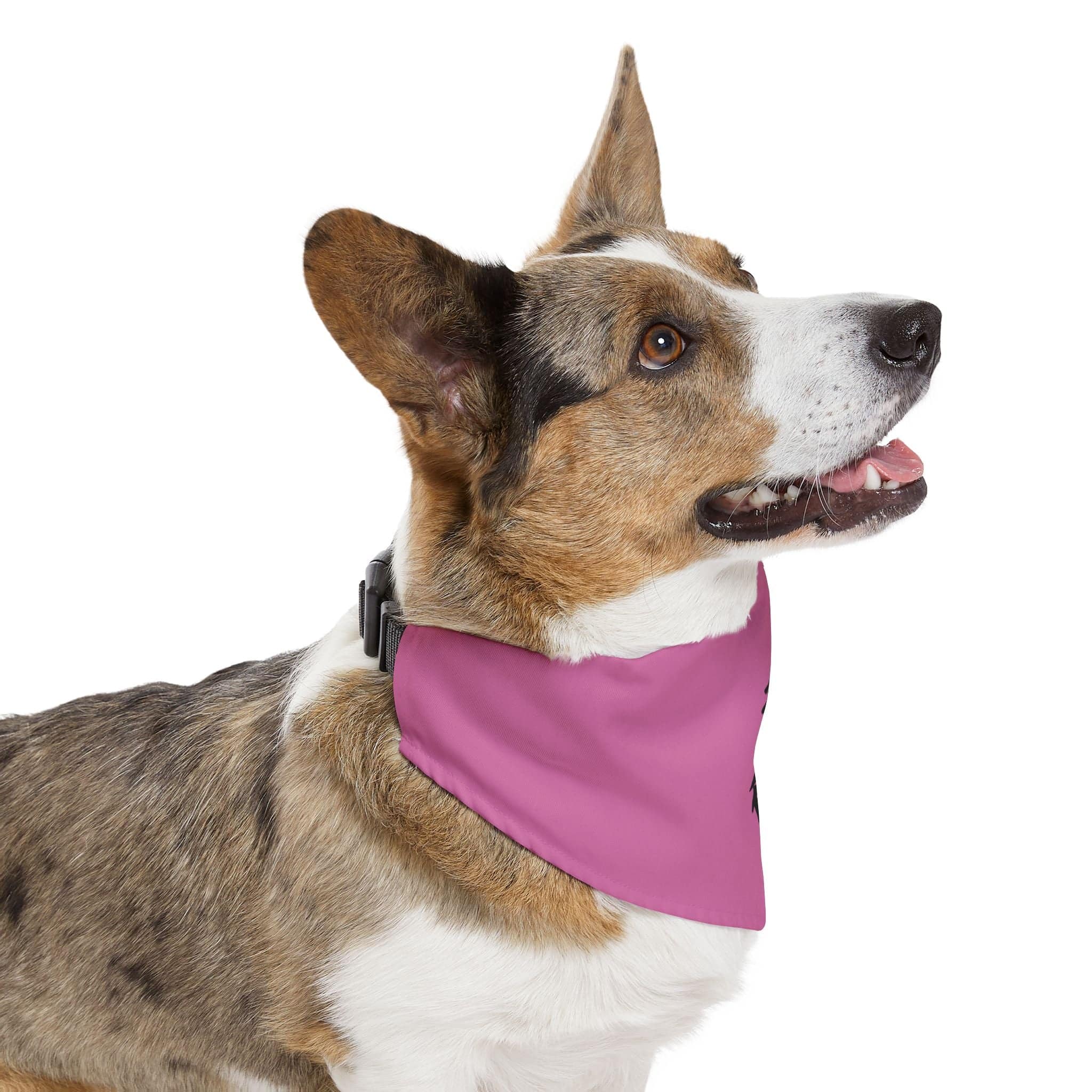 PHENOM - Kanji Pet Bandana Collar