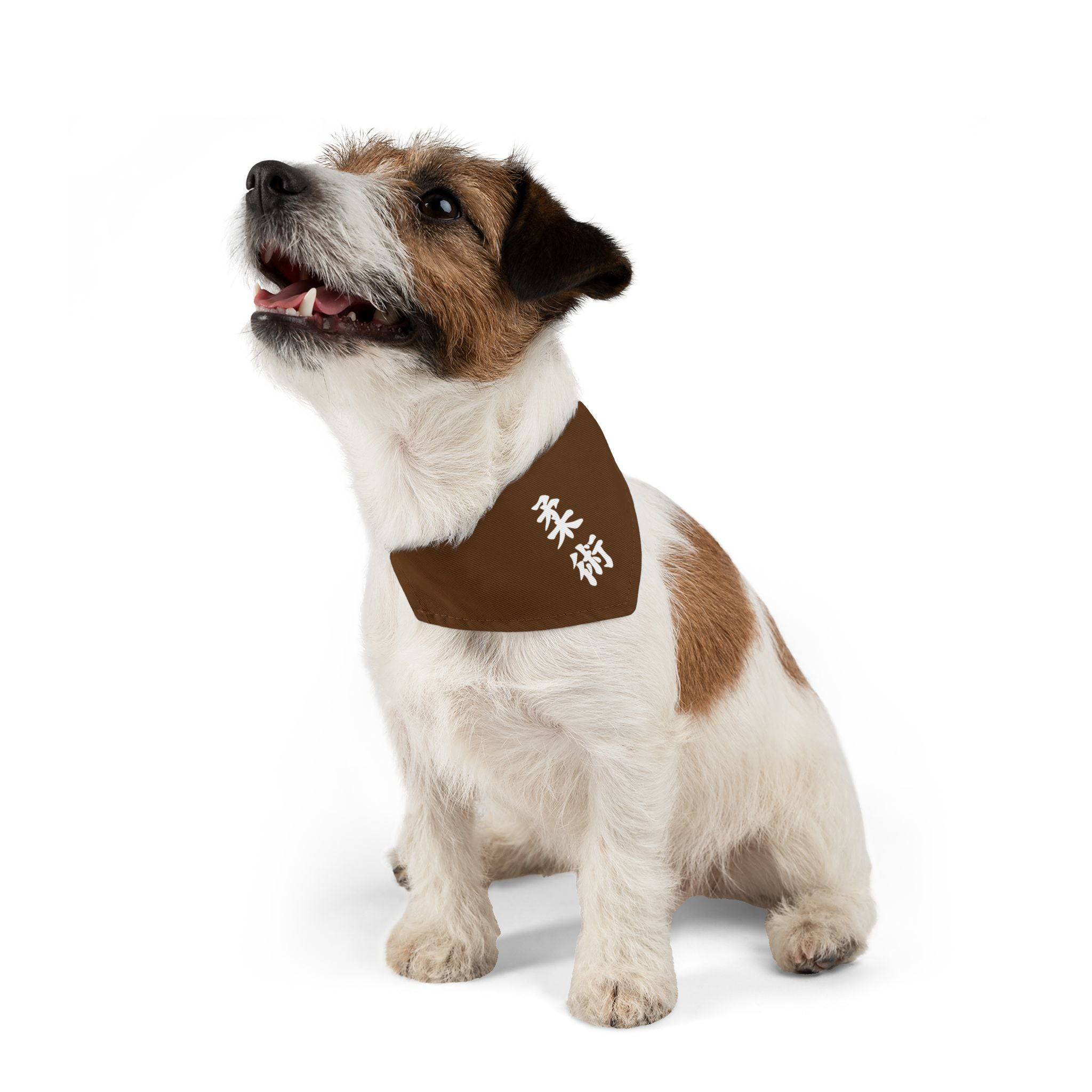 PHENOM - Kanji Pet Bandana Collar