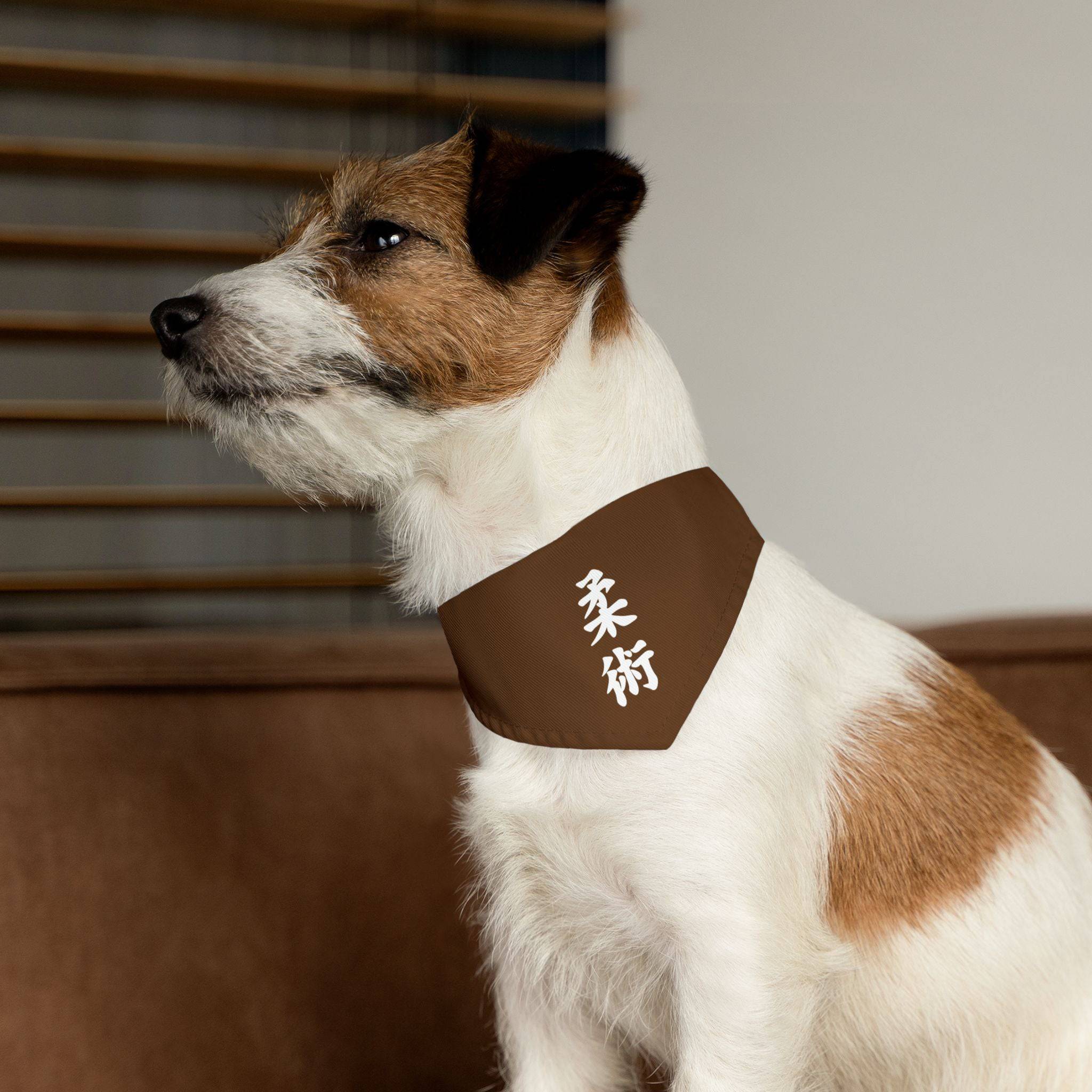 PHENOM - Kanji Pet Bandana Collar