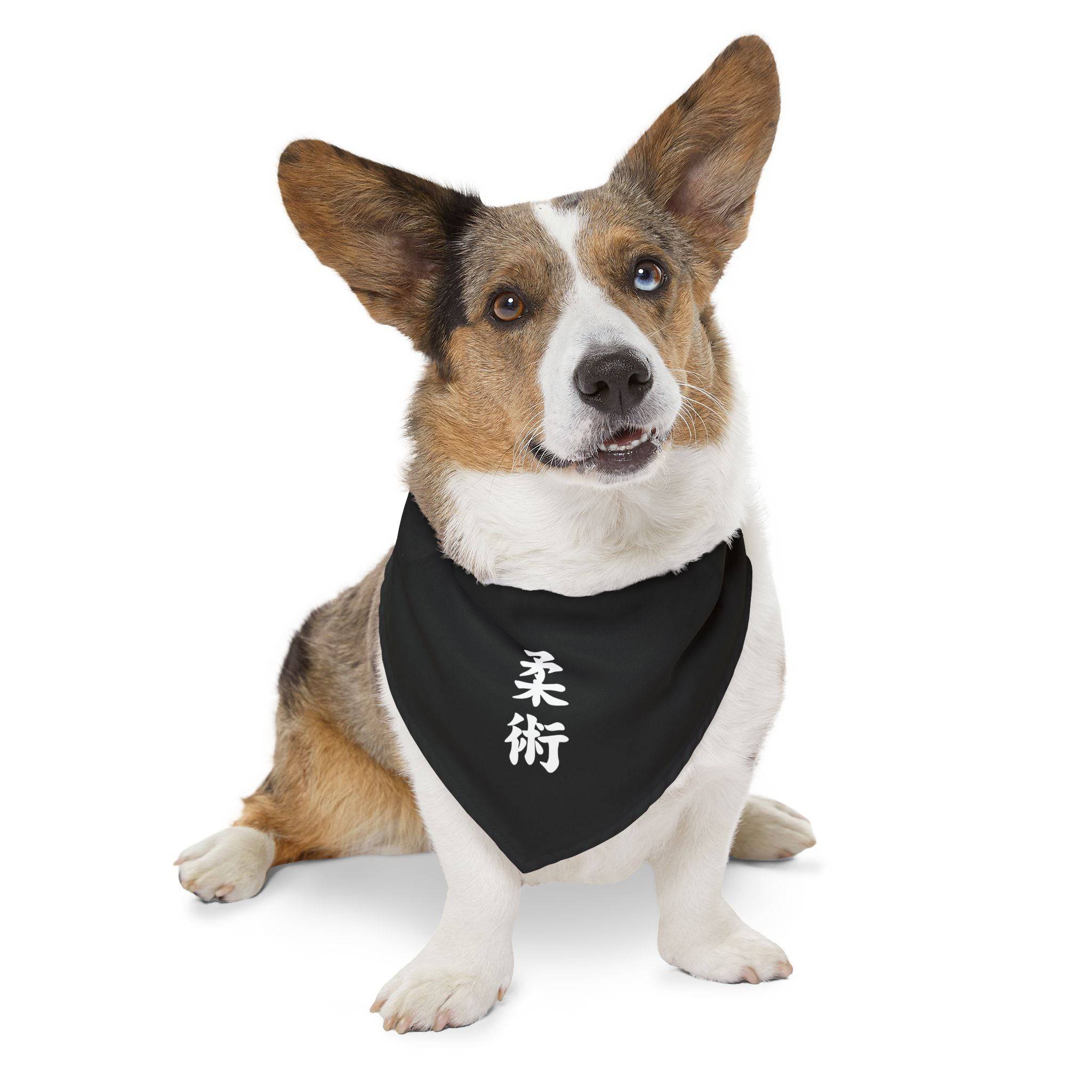 PHENOM - Kanji Pet Bandana Collar