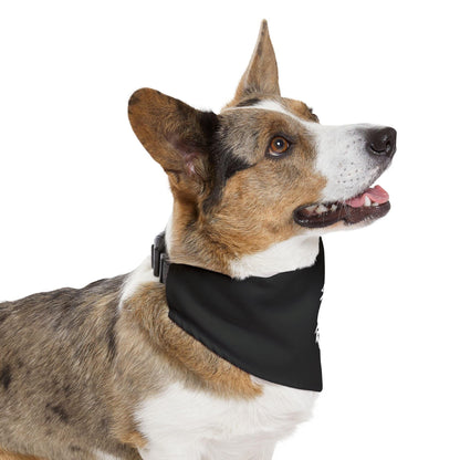 PHENOM - Kanji Pet Bandana Collar