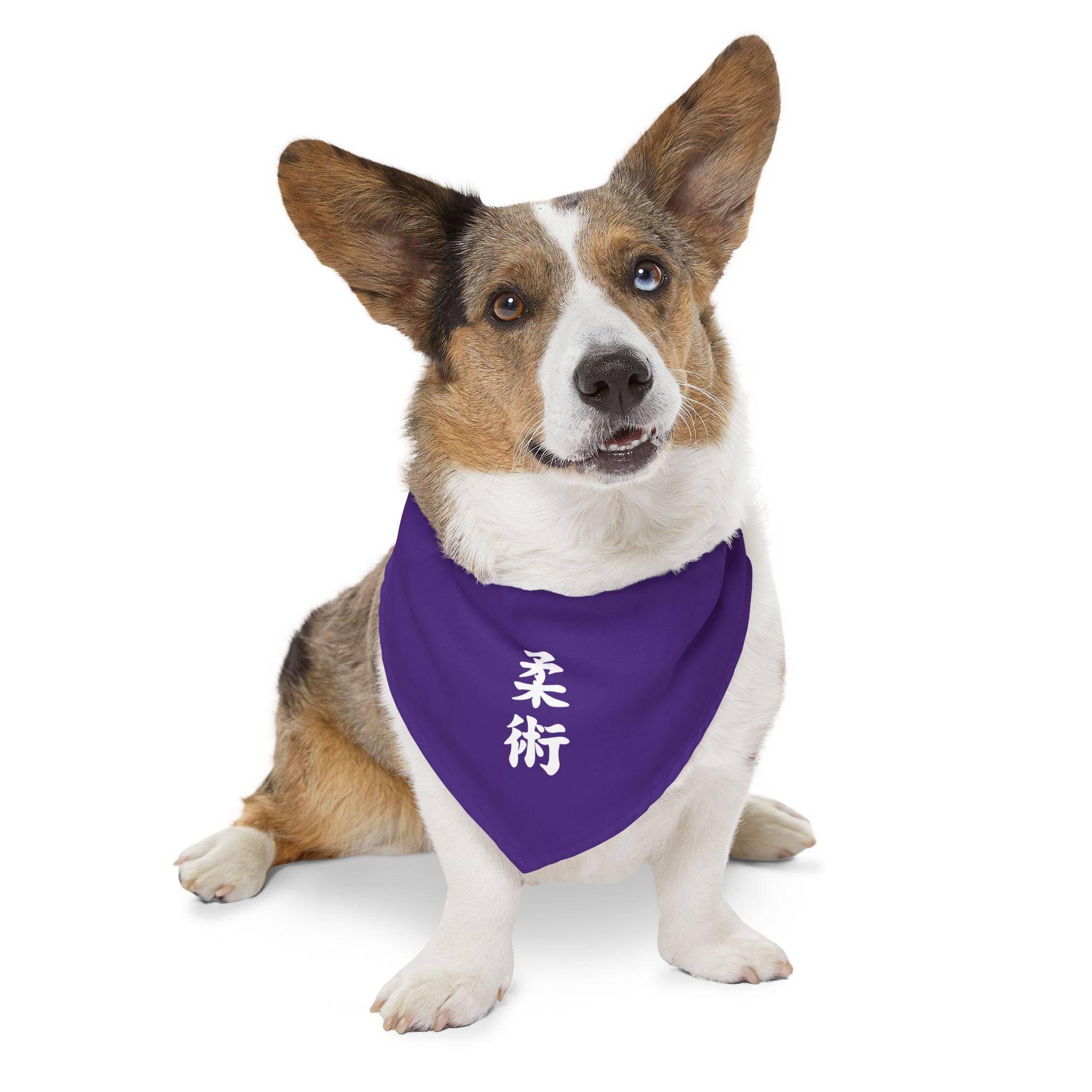 PHENOM - Kanji Pet Bandana Collar