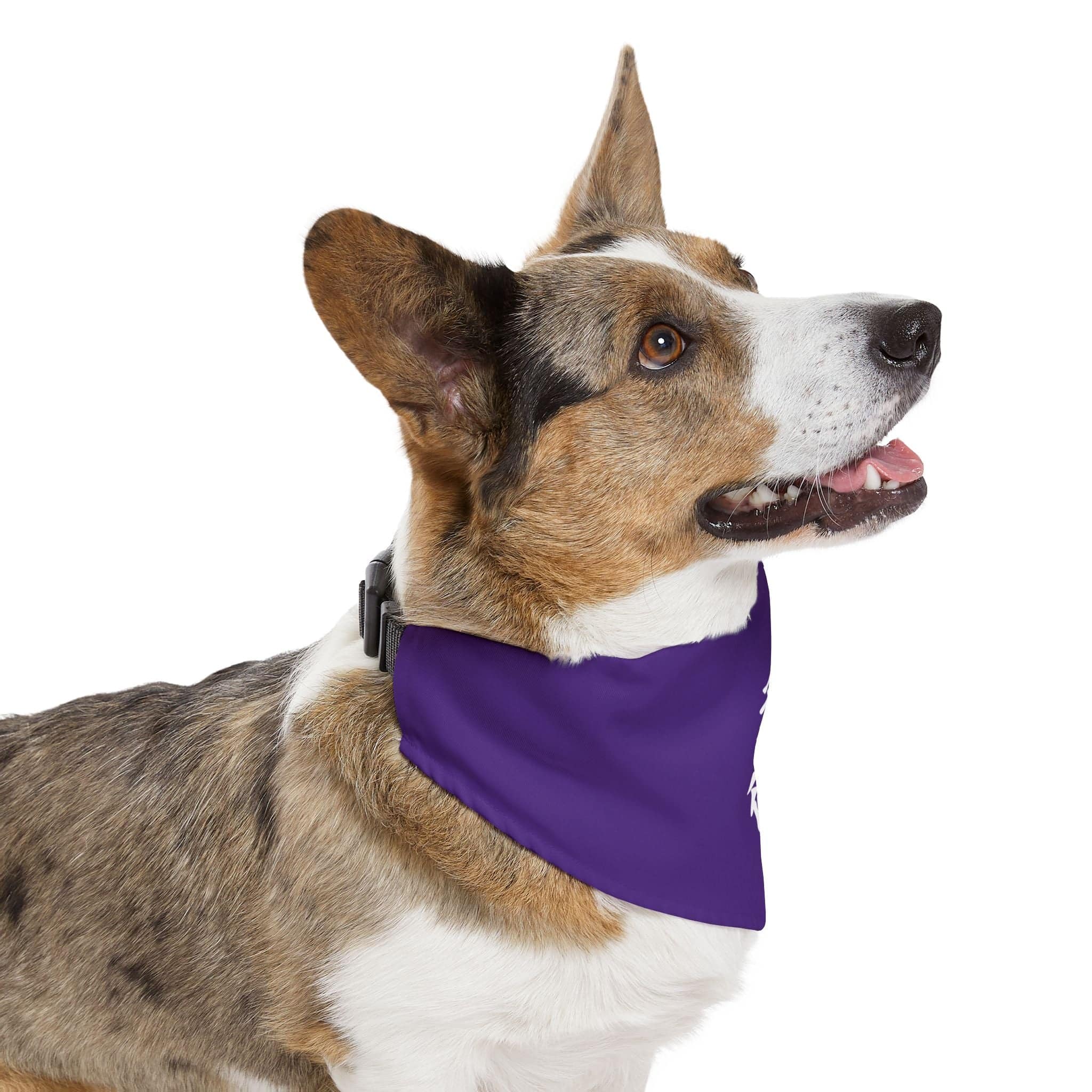 PHENOM - Kanji Pet Bandana Collar