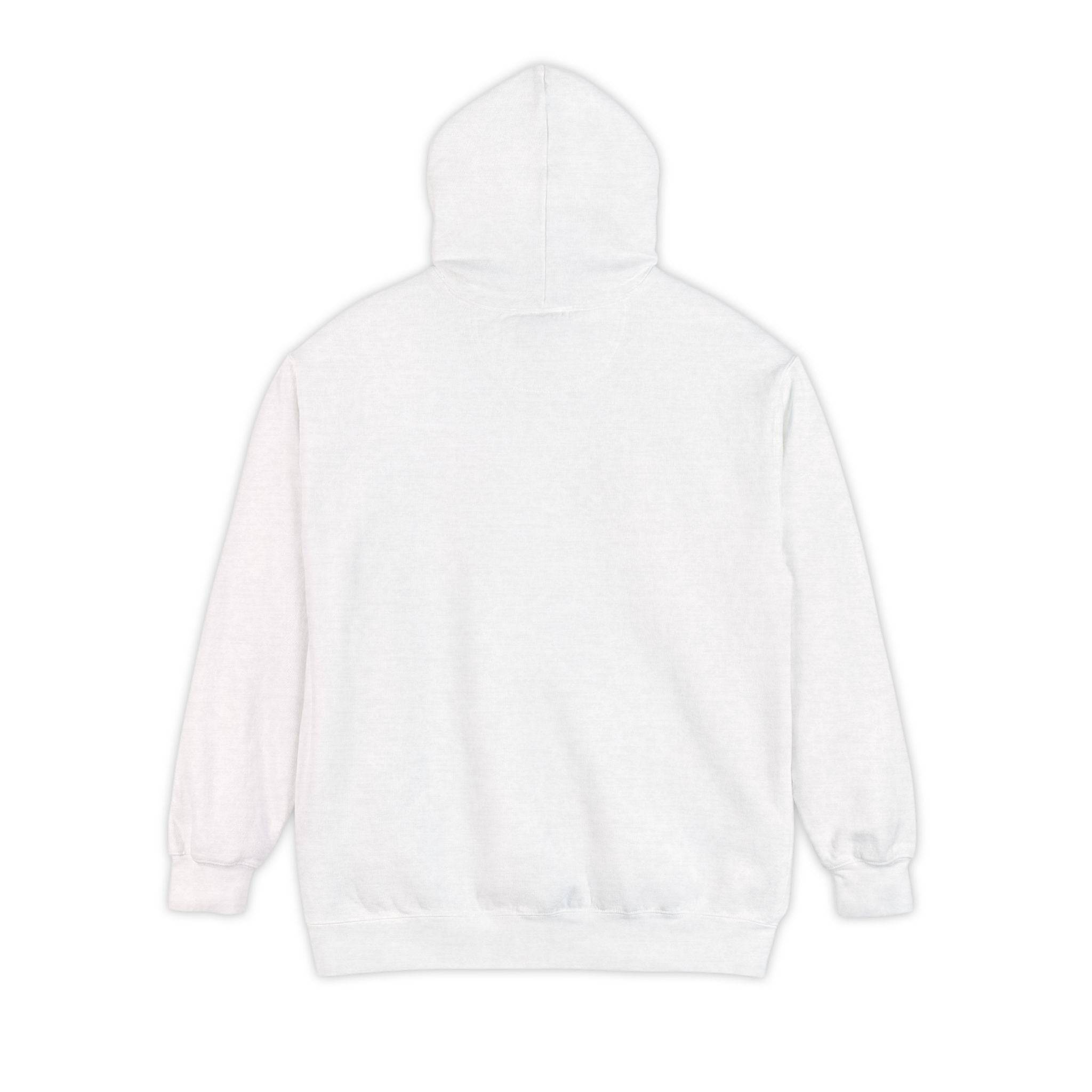 PHENOM - NM Hoodie