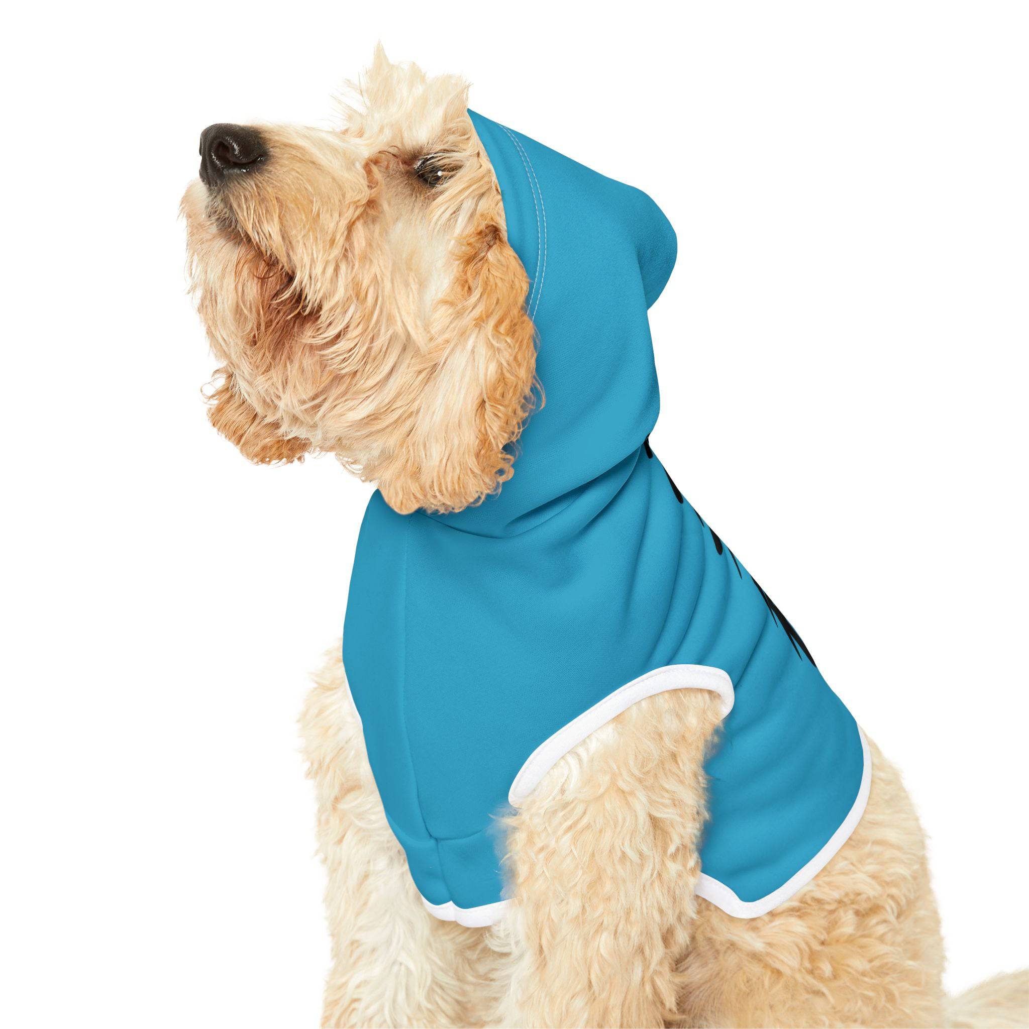 PHENOM - Pet Hoodie