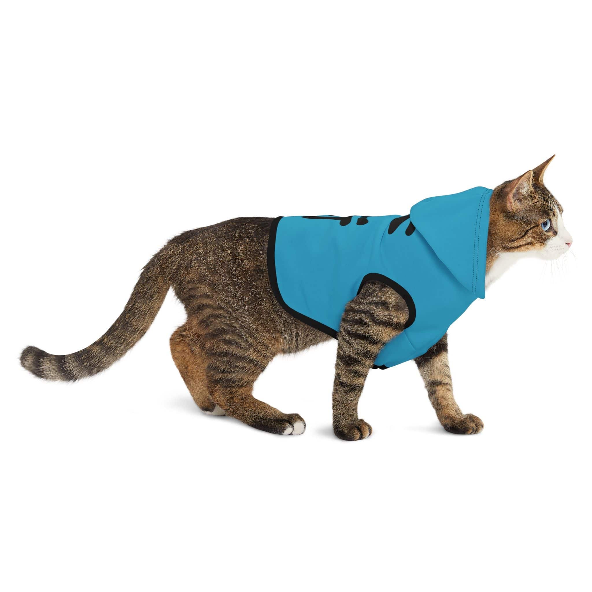 PHENOM - Pet Hoodie