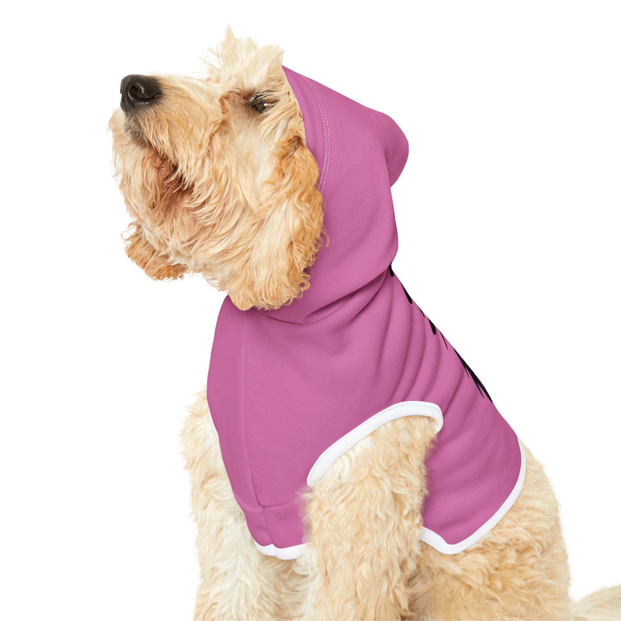 PHENOM - Pet Hoodie