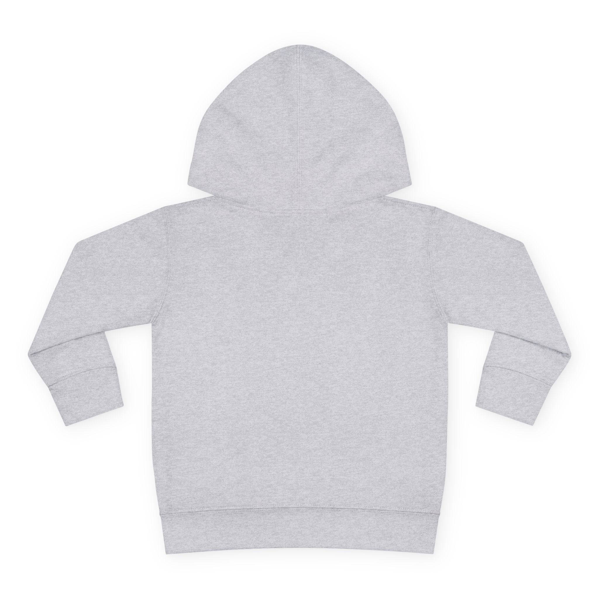 PHENOM - Toddler Hoodie